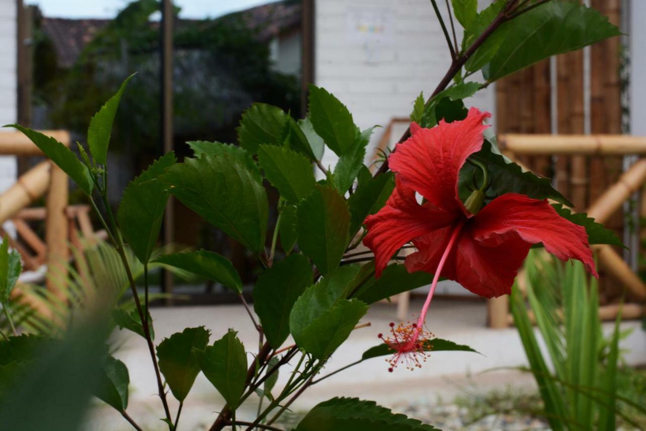 Casita Madame Hotel Puerto Lopez Exterior photo